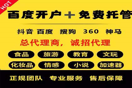 SEM服务案例：打造行业领先品牌
